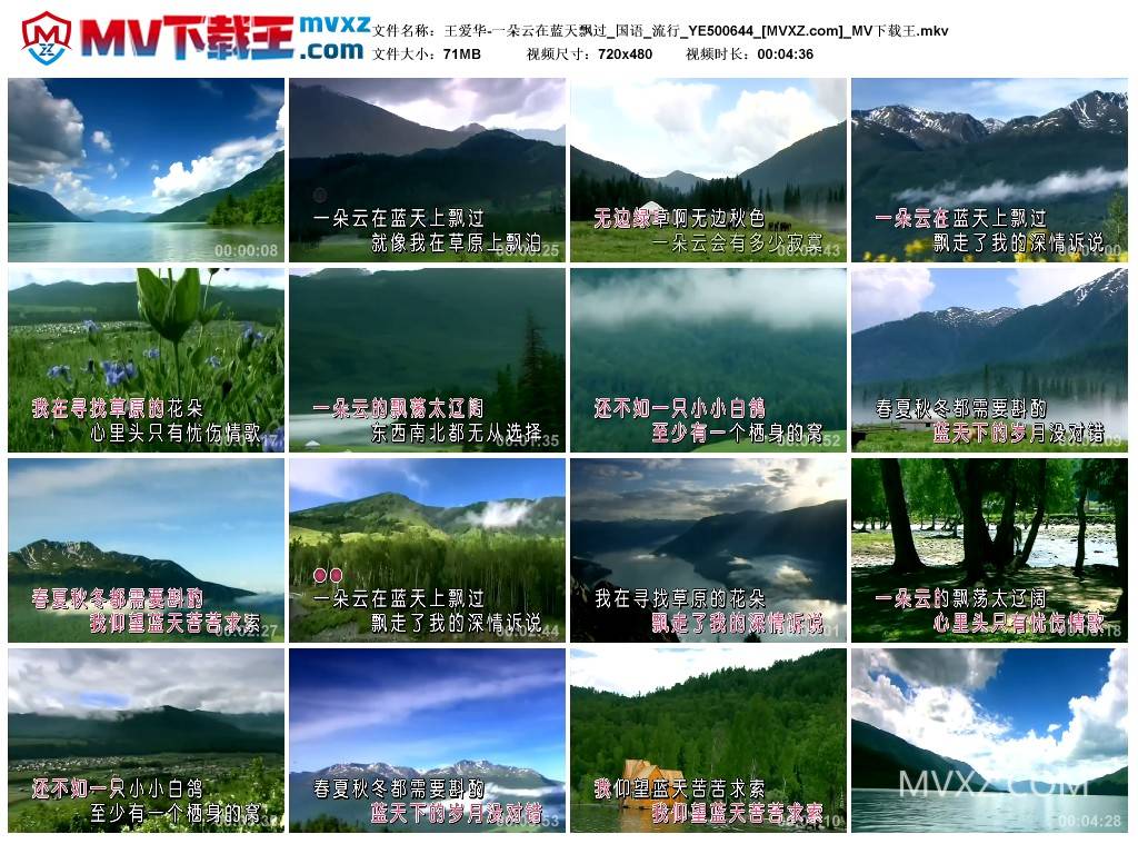 王爱华-一朵云在蓝天飘过_国语_流行_YE500644